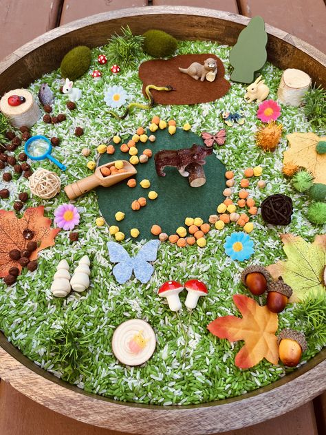 Mushroom Sensory Bin, Forest Sensory Bin, Forest Activities, Fall Sensory Bin, Fall Sensory, Forest Animals Theme, Toddler Sensory Bins, Sensory Tub, Wooden Trees