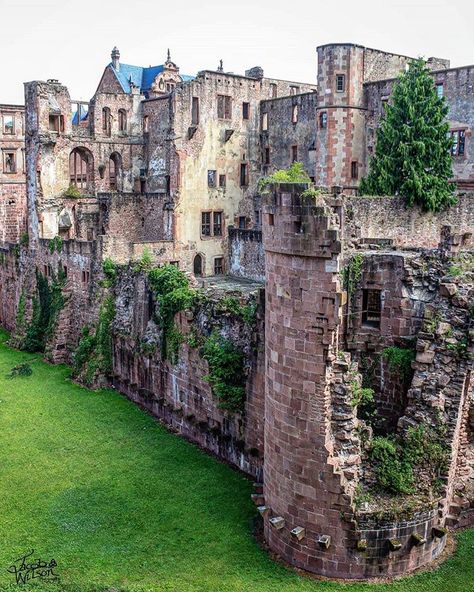 _BESTGERMANYPICS on Instagram: “CONGRATS to @jjw_photography_1990 ID #bsger_jjw_photography_1990 Locality : Heidelberg Castel - Germany 🇩🇪 Selected by…” Heidelberg Castle, Germany Castles, Castle Ruins, Central Europe, Best Places To Travel, Germany Travel, Travel Dreams, Places To Travel, Places To Visit