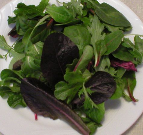 Spring Mix Recipes Not Salad, Recipes With Spring Mix Lettuce, Recipes Using Spring Mix Salad, Spring Mix Recipes, Mixed Greens Recipe, Spring Mix Salad Recipes, Mix Salad, Lettuce Recipes, Wilted Lettuce