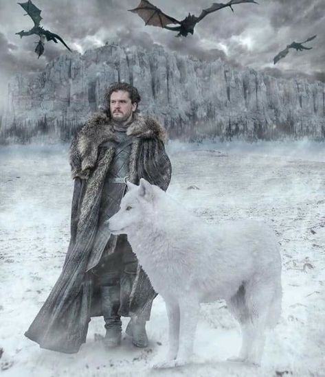 Jon Snow And Ghost, Snow Wolf, Game Of Thrones Artwork, John Snow, Kit Harrington, Dire Wolf, Falling From The Sky, Mythology Art, I Love Anime