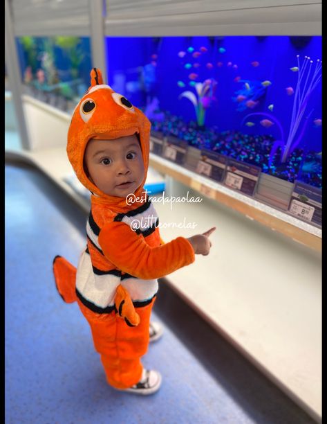 Nemo baby toddler cute Halloween costume Toddler Costumes Boy, Nemo Halloween Costumes, Baby Boy First Halloween Costume, Disney Toddler Costumes, Nemo And Dory Costume, Nemo Halloween, Dory Costume, Nemo Costume, Nemo Baby