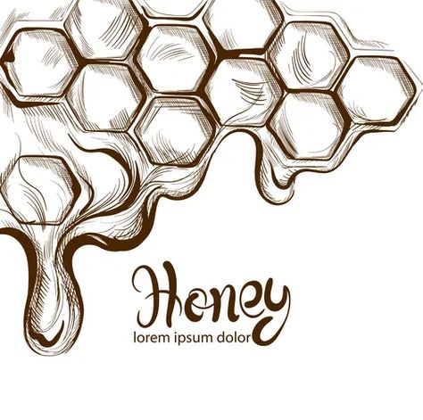 Beehive Drawing, Honeycombs Drawings, Honey Label Design, Honey Combs, Honeycomb Tattoo, Fleurs Art Nouveau, Honey Art, Honey Logo, Vector Line Art