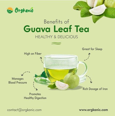 Guava Leaf Tea, Guava Benefits, Guava Leaves, Guavas, Tea Health Benefits, Herbal Plants, Magic Herbs, Herbal Healing, Healthy Benefits