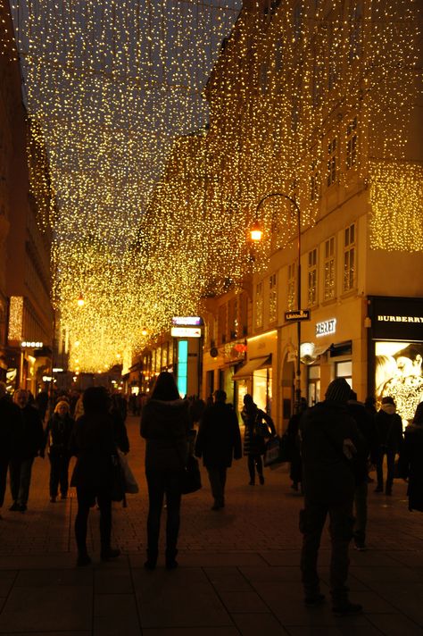 Beautiful Christmas lights in Vienna's Christmas markets! Tuscan Christmas, Beautiful Christmas Lights, Vienna Christmas, Vienna Travel, Christmas In Europe, Culture Food, Stories To Tell, History Art, White Lights