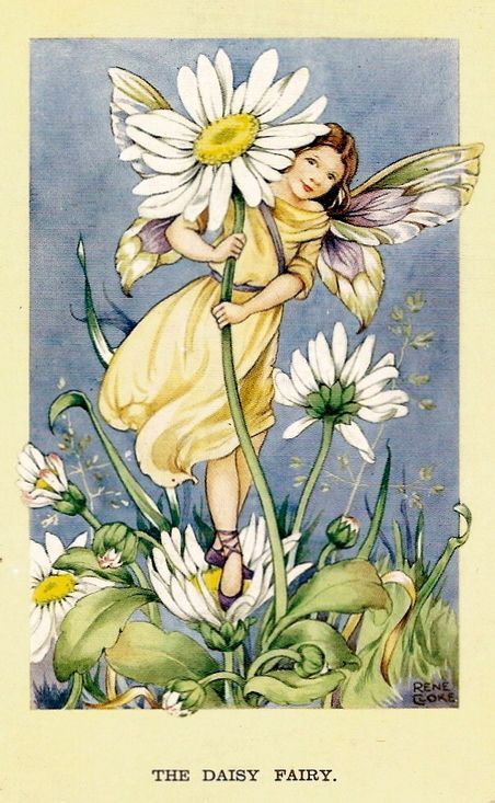 Daisy Fairy, Daisy, Best Deals