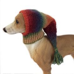 Extra small dog Snoo  Extra small dog Snood Orange italian greyhound snood whippet small dog hat lurcher snood puppy clothing dog clothes dog accessories  Like our Facebook:http://bit.ly/2A5xiqr #Dog#DogLoversHub Dog Crochet Snood, Whippet Hat, Dog With Clothes, Puppies Accessories, Dogs Wearing Clothes, Animals Wearing Clothes, Dogs In Clothes, Dog In Clothes, Crochet Dog Clothes