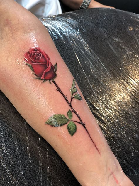 Rose Stem Tattoo, Rose Bud Tattoo, Coloured Rose Tattoo, World Famous Tattoo, Single Rose Tattoos, Yellow Rose Tattoos, Best Cover Up Tattoos, Rose Flower Tattoos, Rose Drawing Tattoo