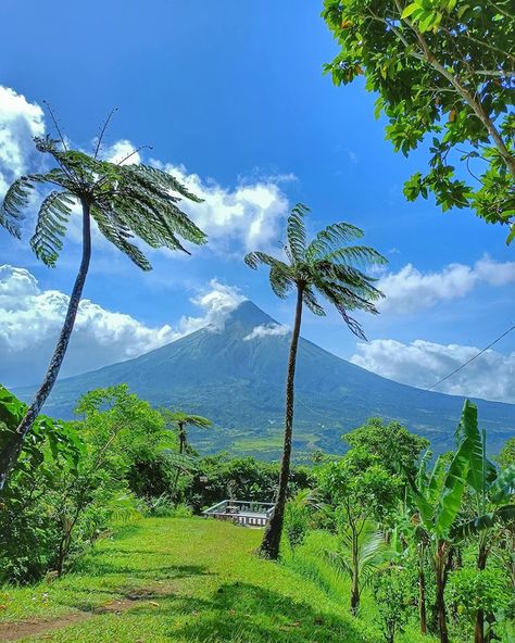 Albay Philippines, Mount Mayon, Davao City, Best Shots, Philippines Travel, Davao, A Town, Rice Cakes, Travel Agency