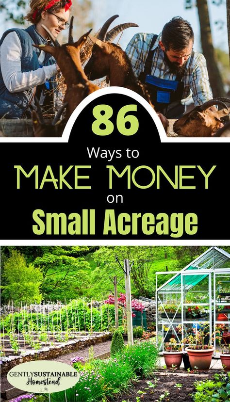 Make Money Homesteading, Live Off Grid, Homestead Garden Layout, Living Off Grid, Agriculture Photography, Sustainable Homestead, Micro Farm, Out Space, Modern Homesteading