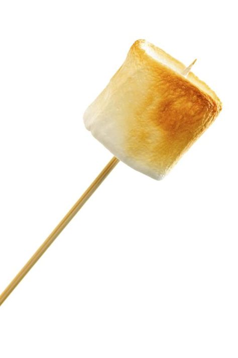 How to Roast a Marshmallow Commodity Milk, Marshmallow On A Stick, Roasted Marshmallow, Savory Bites, How To Roast, Roasting Marshmallows, Marshmallow Fluff, On A Stick, Barn Ideas