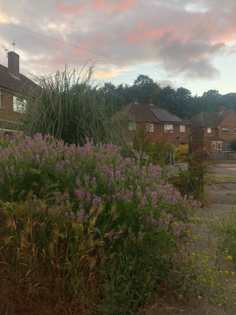 #england #london #surrey #royalholloway #uni #student #university #gardening #sky #skyaesthetic Surrey Aesthetic, Mundane Life, Uni Student, England Aesthetic, Surrey England, England London, Future Life, Sky Aesthetic, University