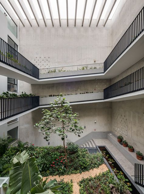 Morphology Building / Talia Valdez + Nómena Arquitectos, © Diego Franco Coto Courtyard Apartments, Atrium Design, Ramp Design, Open Stairs, H Design, Social Housing, Patio Interior, Facade Design, Green Building