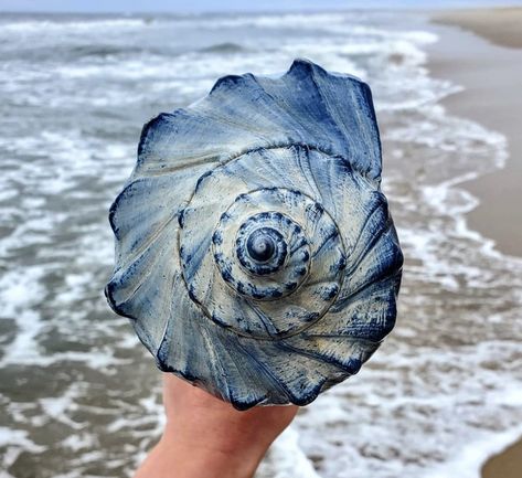 Free Spirit Aesthetic, Aphrodite Aesthetic, Tones Of Blue, Im Blue, Ocean Treasures, Coastal Life, Art Painting Gallery, Instagram Feed Ideas, Marine Biology