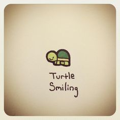 Turtle Wayne, Cute Turtle Drawings, Kawaii Turtle, Smiling Animals, Mini Turtles, Cartoon Turtle, Turtle Drawing, Turtles Funny, Tiny Turtle