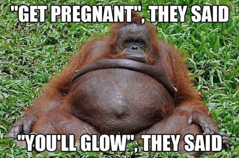 71 Pregnancy Memes - "'Get pregnant', they said. 'You'll glow', they said." Third Trimester Memes, Third Trimester Humor, Pregnancy Quotes Funny, Funny Pregnancy Memes, Diet While Pregnant, Pregnancy Memes, Home Pregnancy Test, Pregnancy Problems, Sunday Funnies