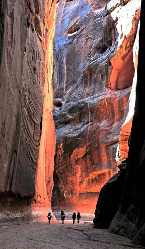 Paria Canyon, Utah Hiking, Slot Canyons, Arizona Adventure, Arizona Road Trip, Flagstaff Arizona, Wilde Westen, Hiking Pictures, Arizona Travel