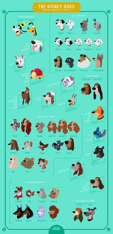 Stitch es un perro *Pikachu* Viví engañada😶 Different Types Of Dogs, Disney Nerd, Disney Dreams, Disney Dogs, 강아지 그림, Disney Facts, Disney Animals, Pinturas Disney, Disney Life