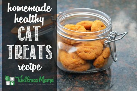 These homemade cat treats are healthy and a pet-favorite with coconut oil, coconut flour, tuna, gelatin, sweet potatoes and egg. Homemade Cat Treats, Homemade Cat Treats Recipes, Diy Cat Treats, Homemade Cat Food, Coconut Oil For Dogs, Wellness Mama, Jitterbug, Homemade Cat, Healthy Cat