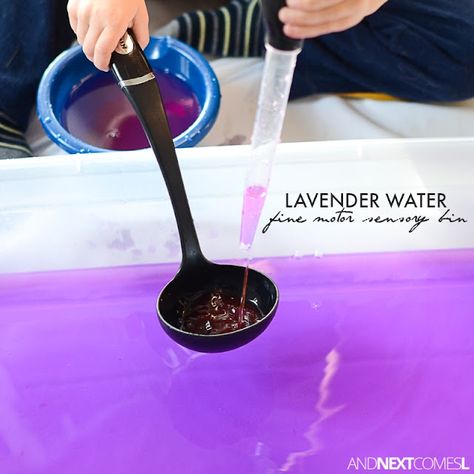 Lavender water fine motor sensory bin for toddlers and preschoolers from And Next Comes l Sensory Bin For Toddlers, Winter Sensory Bin, Sensory Water, Sensory Bin Ideas, Imagination Tree, Rainbow Activities, Senses Activities, Sensory Diet, Lavender Water