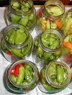 Peppers Pickled, Pickled Pepperoncini, Pickled Pepper Recipe, Hot Banana, Recipes With Banana Peppers, Cucumber Chips, Canning Peppers, Hot Banana Peppers, Pickled Banana Peppers