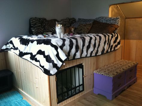 My husband and i built this Bed w/built in dog kennel underneath. S Cat Crate Bed, Bunk Bed Ideas Diy, Diy Dog Crate, Dog Crate Bed, Diy Bunk Bed, Crate Furniture Diy, Crate Bed, Bunk Beds With Stairs, Dog Crate Furniture