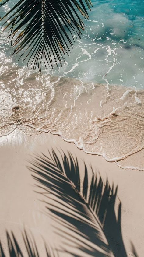 Cool Summer Backgrounds, Neutral Summer Wallpaper, Tropical Background Aesthetic, Pretty Beach Wallpapers, Ipad Beach Wallpaper, Summer Lock Screen Wallpaper, Iphone Summer Wallpaper, Wallpaper Iphone Beach, August Wallpaper Aesthetic