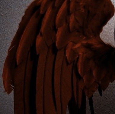 Hawks Comfort, Husk Aesthetic, Red Wings Aesthetic, Hawks Aesthetic, Zelda Rito, Himiko Toga Cosplay, Fursona Oc, Red Angel Wings, Green Brown Eyes