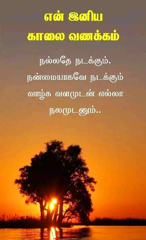 இனிய காலை வணக்கம் தமிழ், Good Morning Tamil Image, Good Morning Quotes Tamil, Good Morning Wishes In Tamil, Good Morning In Tamil, Good Morning Images In Tamil, Good Morning Tamil, Tamil Greetings, Drainage Grates