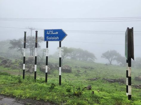 Unveiling Salalah’s secrets one khareef journey at a time Salalah Oman, Arabian Sea, Picnic Spot, Walking Paths, Salalah, Green Carpet, Green Landscape, Dark Skies, Girly Pictures