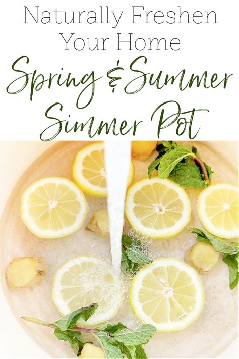 Summer Simmer Pot Recipe | Simmering Potpourri for Spring & Summer - Lemons, Lavender, & Laundry Lime Simmer Pot Recipes, Summer Pot Pourri, Thyme Simmer Pot, Summer Potpourri Simmer Pot, Summer Potpourri Recipes, Summer Summer Pot, Lemon Potpourri Stove, Holiday Summer Pot, Stove Pot Simmer Gift