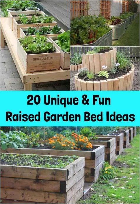 20 Unique & Fun Raised Garden Bed Ideas Bed Set Up Ideas, Unique Raised Garden Beds, Beautiful Raised Garden Beds, Diy Raised Garden Beds, Cheap Raised Garden Beds, Raised Garden Beds Diy Vegetables, Raised Garden Bed Ideas, Ladder Ideas, Garden Bed Ideas