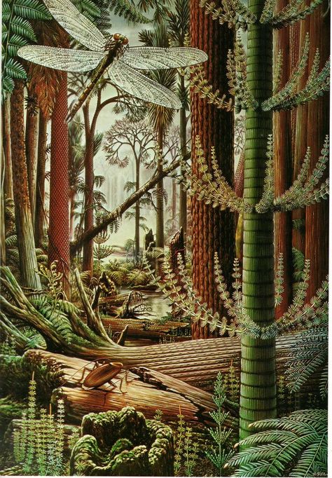 Swampy Forest, Prehistoric Plants, Carboniferous Period, Paleozoic Era, Forest Book, Prehistoric Wildlife, Prehistoric World, Book Page Art, Prehistoric Art