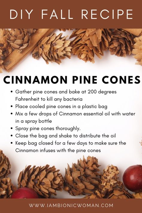 cinnamon pinecones Diy Cinnamon, Potpourri Recipes, Cinnamon Essential Oil, Fall Recipe, Cones Crafts, Pine Cone Crafts, Fall Crafts Diy, Snacks Für Party, Holiday Crafts Christmas