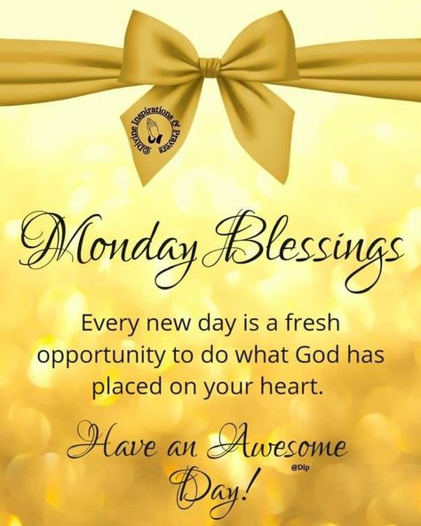 Monday Good Morning Quotes, Morning Quotes Monday, Have A Blessed Monday, Have A Blessed Day Inspiration, Blessed Monday, Monday Morning Blessing, Monday Good Morning, Monday Wishes, Monday Prayer