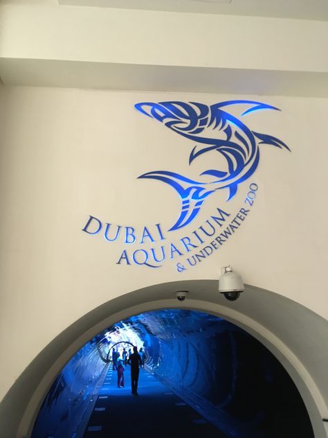 Jumeriah Beach, Dubai Aquarium Photography, Bucket Lists, Dubai Dolphinarium, Dubai Fountain Show Video, Dubai Video, Dubai Mall Aquarium, Billionaire Luxury, Underwater Hotel