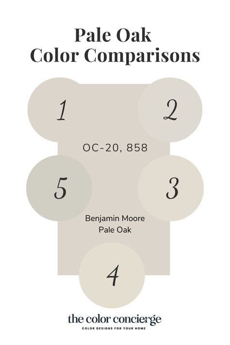 Learn all about Benjamin Moore Pale Oak in this color review. This light greige color is soft and lovely. It is a versatile neutral that looks great in a bright or dark room. Soft taupe undertones let it pair well with just about any type of light #benjaminmoore #benjaminmooregray | Benjamin Moore paint colors | paint color | paint | interior design | modern house interior | home interior | what to paint your kitchen | what to paint a bedroom | picking paint colors | The Color Concierge Benjamin Moore Cake Batter Paint Color, Pale Oak Benjamin Moore Behr Match, Best Benjamin Moore Greige, Pale Oak Vs Drift Of Mist, Pale Oak Benjamin Moore Trim, Balboa Mist Vs Pale Oak, Ashwood Benjamin Moore, Pale Oak Living Room, Bm Pale Oak Living Room