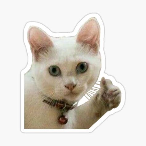 Cat Thumbs Up, Thumbs Up Sticker, Animal Cutouts, Sticker Design Inspiration, Cute Laptop Stickers, Stickers Redbubble, Sticker Funny, Wallpaper Stickers, Cute Doodles Drawings