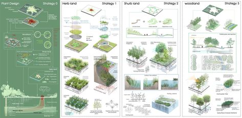 Cell Growth Dish – Brownfield Landscape Ecological Restoration Design | ASLA 2022 Student Awards Landscape Diagram, Landscape Architecture Diagram, Architecture Drawing Presentation, Presentation Board Design, Ecology Design, Urban Design Concept, Concept Models Architecture, Architecture Concept Diagram, Cell Growth