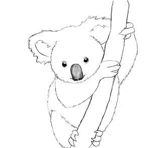 Draw A Koala, Bear Face Drawing, Koala Tattoo, Koala Illustration, Koala Drawing, Cute Koala Bear, Bear Drawing, Baby Koala, Outline Drawings