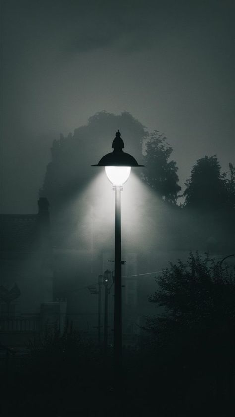 Street Light Wallpaper Iphone, Lamp Wallpaper Iphone, Street Lamp Wallpaper, Street Lamp In The Fog, Street Light Wallpaper, Fog Wallpaper, Plan Wallpaper, Iphone Light, Iphone Wallpaper Photography