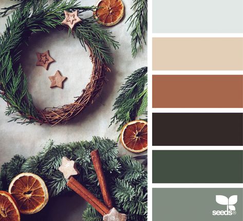 Winter Color Schemes, Men Branding, Holiday Color Palette, Design Seed, Sustainable Holiday, Christmas Palette, Soap Inspiration, Dyeing Yarn, Seeds Color