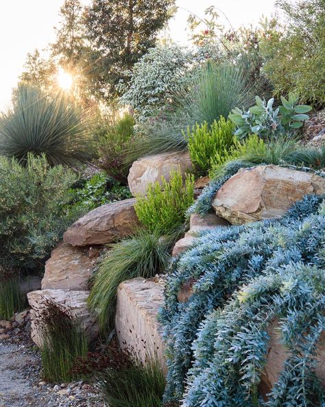 Modern Rockery Garden Ideas, Rockery Garden, Australian Garden Design, Naturalistic Garden, Australian Native Garden, Hillside Garden, Dry Garden, Sloped Garden, British Garden