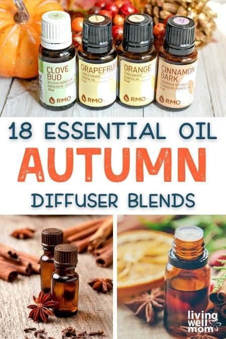 Amp up all the autumn feels with these fragrant diffuser blend DIYs and store-bought options. Fill your space with the scents of orange, vanilla, lavender, cloves, and other fall-inspired essential oils for a relaxing and uplifting home. Autumn Diffuser Blends, Fall Essential Oils, Fall Diffuser Blends, Vanilla Lavender, Sleeping Well, Orange Clove, Essential Oil Diffuser Recipes, Oil Diffuser Recipes, Spa Business