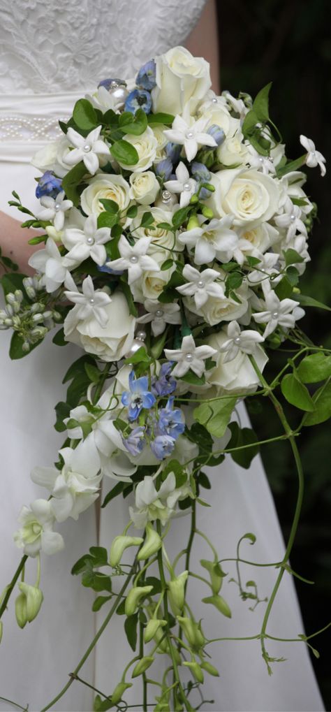 Light Blue Delphinium, Bouquet With White Roses, Delphinium White, Cascade Bridal Bouquet, Elegant Bridal Bouquets, White Freesia, Cascading Bridal Bouquets, Winter Wedding Bouquet, Blue Delphinium