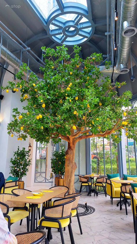 Tree Cafe Design, Lemon Cafe Interior, Lemon Tree Restaurant, Lemon Interior Design, Breakfast Cafe Design, Cafe Concept Ideas, Farm Cafe Design, Restaurant Concept Ideas, Lemon Restaurant