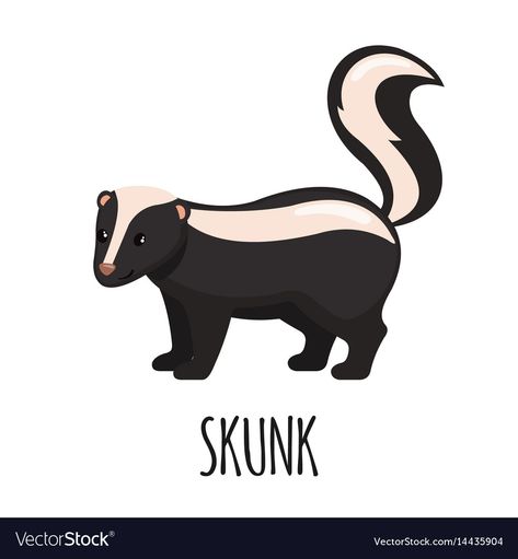 Skunk Drawing Simple, Skunk Pictures, Skunk Clipart, Woodland Library, Skunk Illustration, Skunk Craft, Skunk Cartoon, Cartoon Skunk, Skunk Drawing