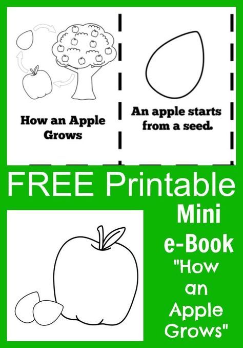 FREE Apple Life Cycle "How an Apple Grows" Printable mini e-book with coloring pages for kids and teachers Apple Tree Life Cycle, Life Cycles Preschool, Tree Life Cycle, Preschool Apple Theme, Apple Kindergarten, Apple Life Cycle, Apple Lessons, Apple Preschool, Apple Unit