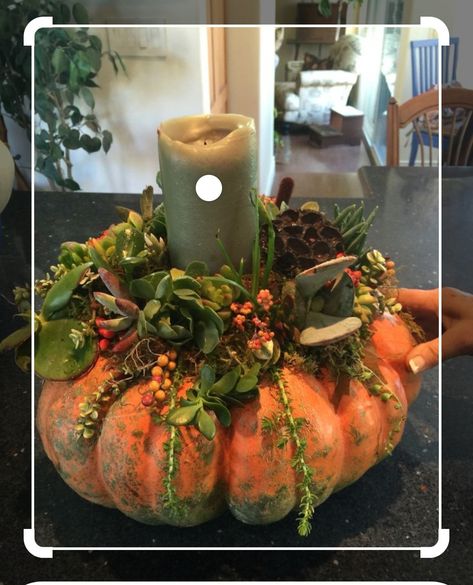 Pumpkin Succulents, Succulents Centerpiece, Fall Flower Centerpieces, Pumpkin Floral Arrangements, Dekoratívne Vence, Fall Pumpkin Centerpieces, Succulent Pumpkin, Centerpiece Diy, Diy Centerpiece