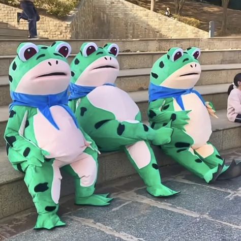 Cute Frog Outfits, Frog Onsie Aesthetic, Cat In Frog Costume, Kawaii Frog Outfit, Bab Frog Outfits, Meme Costume, Food Fair, Frog Costume, Frog Meme