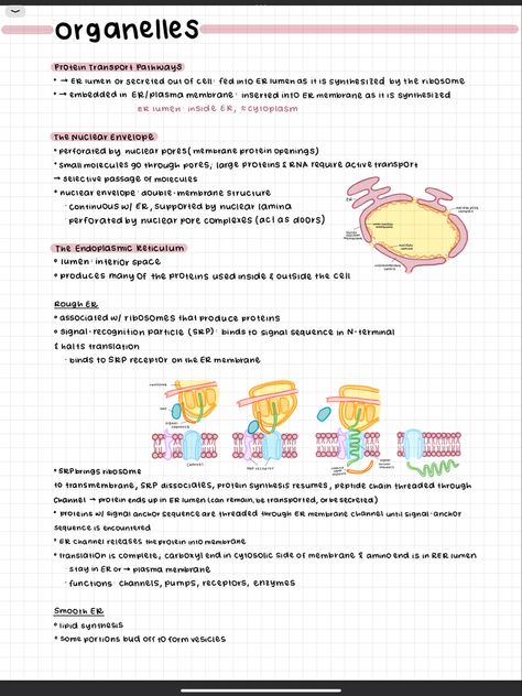 Plasma Proteins Notes, Medicinal Chemistry Notes, Goodnotes Biology Notes, Biology Notes Cell Structure, Biology Notes Ipad, Biology Notes Cells, Human Biology Notes, Ap Biology Notes, School Productivity